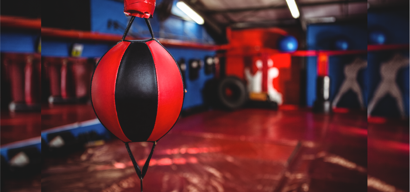 PUNCHING BALL