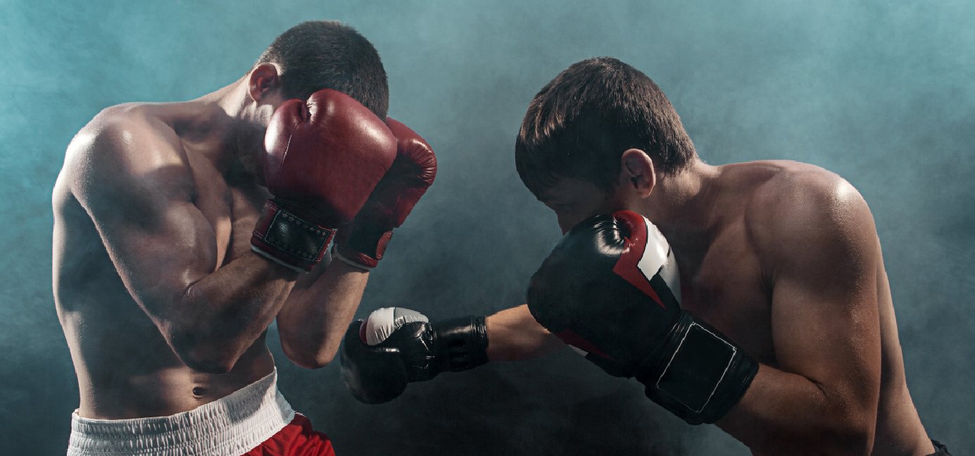 BOXING / MMA GLOVE